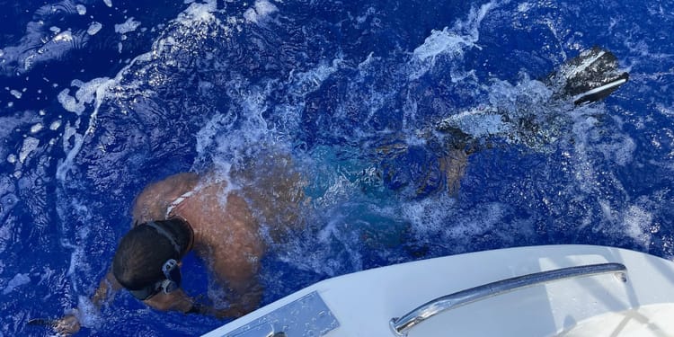 Violent Engine Shake